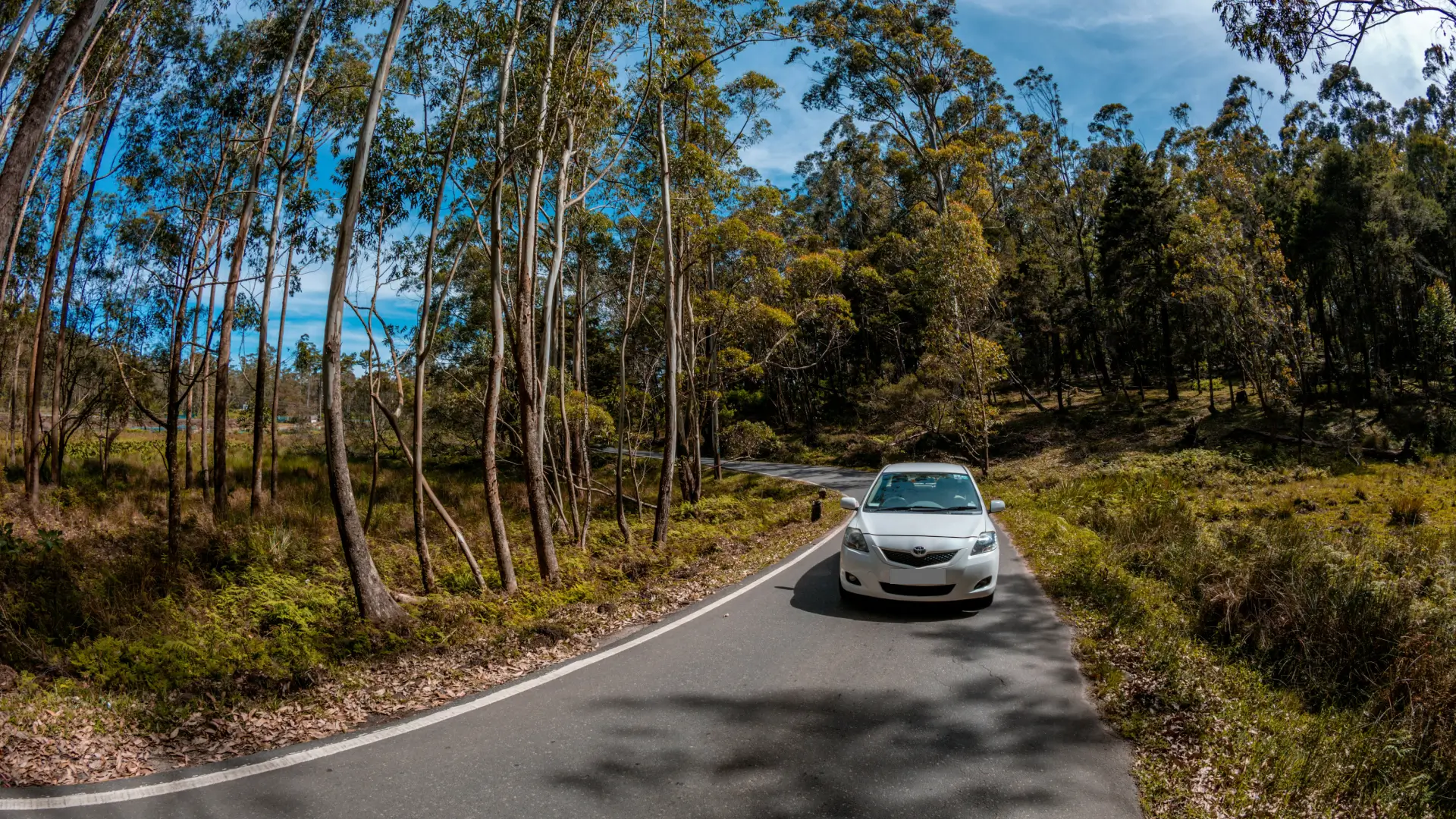 Ram Tours & Travels Cab